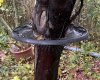 IMG_0051.jpeg