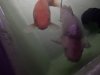 6AD94474-ABCB-4875-9C26-B002BB652379.jpeg