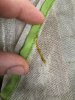 IMG_0481.jpeg
