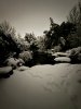 IMG_1062.jpeg