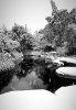 IMG_1064.jpeg