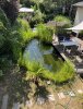 IMG_5079.jpeg