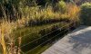IMG_5075.jpeg