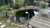 IMG_5081.jpeg
