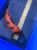 IMG_3150.jpeg