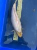 IMG_3147.jpeg