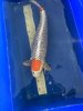 IMG_3146.jpeg