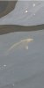 Screenshot_20240412_180224_Gallery.jpg