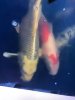 IMG_3626.jpeg