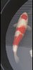 Screenshot_20240607_151330_Gallery.jpg