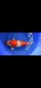 Screenshot_20240607_150913_Gallery.jpg