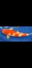Screenshot_20240607_150857_Gallery.jpg