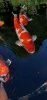 Screenshot_20240610-115542_Gallery.jpg