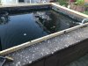 IMG_3665.jpeg