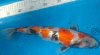 WP_20220511_12_20_03_Pro.jpg