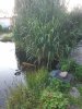 20240626_060939.jpg