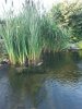 20240626_061307.jpg