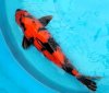 !cid_2013-04-14_13_22.jpg