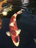 IMG_3092.jpeg