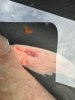 IMG_2240.jpeg