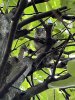 IMG_1828.jpeg
