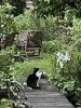 IMG_1832.jpeg