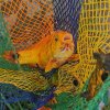IMG_20240811_103023.jpg