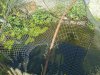 IMG_20240811_105759_1.jpg