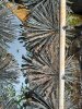 d202425a-d008-4562-81b0-5236a1781255.jpeg