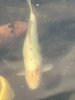 IMG_6693.jpeg