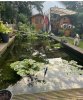 IMG_6155.jpeg