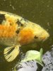 IMG_6189.jpeg