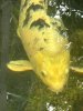 IMG_6192.jpeg