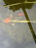 IMG_6145.jpeg