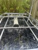 IMG_1859.jpeg