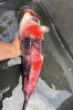 IMG_2150.jpeg