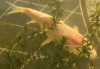 1725544460627.png