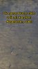 Screenshot_20240905_185606_TikTok.jpg