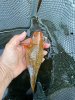 IMG_2547.jpeg