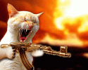 1734700255116.gif