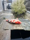 IMG_6424.jpeg