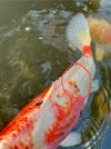 IMG_2351.jpeg