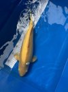 IMG_2053.jpeg