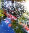 20250511_092611.jpg