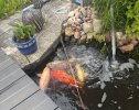 IMG_9865.jpeg