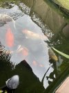 IMG_6352.jpeg