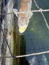 IMG_7174.jpeg
