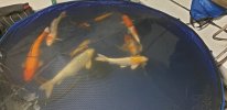 20250524_032603.jpg