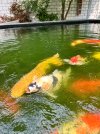 IMG_8957.jpeg