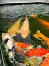 IMG_8961.jpeg